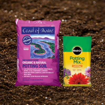Soil & Fertilizer