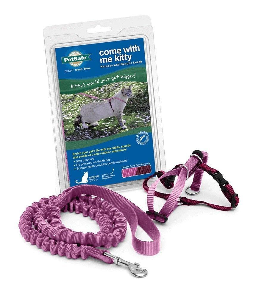 Petsafe fashion come with me kitty harness and bungee leash