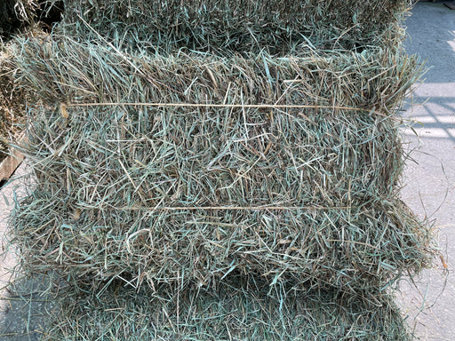 First Cut Hay Bale ***OUT OF STOCK***