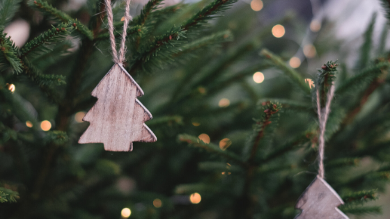 Christmas Tree Care and After-Christmas Ideas