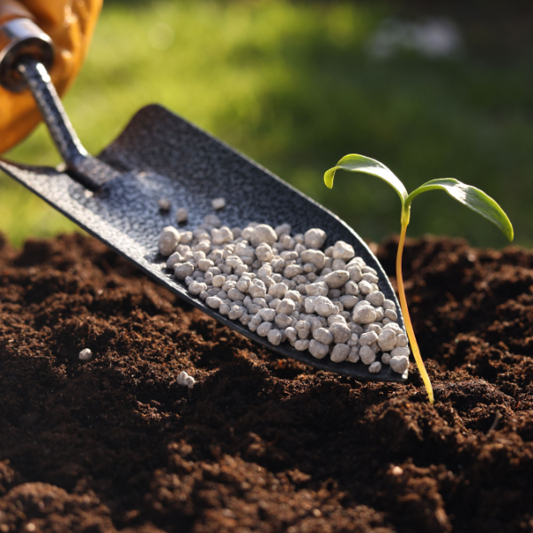 Garden Fertilizer