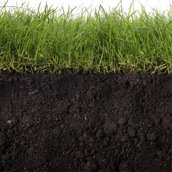 Lawn Soil