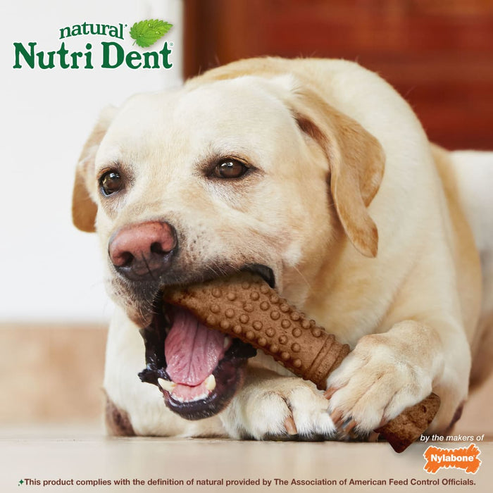 Nylabone Nutri Dent Filet Mignon Dog Dental Chews Dog Treat, XL, 50+lbs