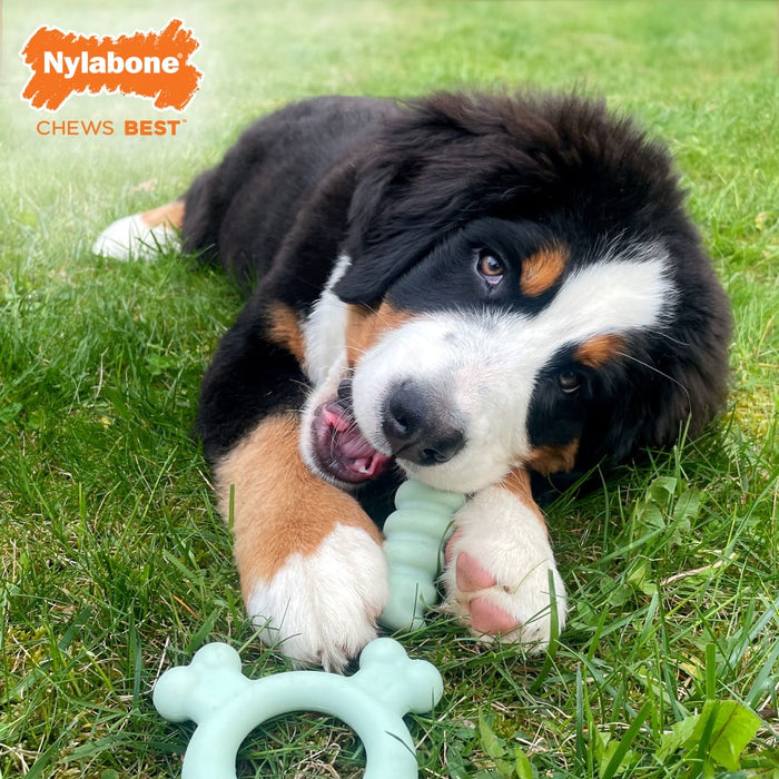 Nylabone Sensory Material Puppy Teething Ring Dog Toy