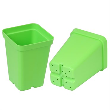 Sunpack Square Pot - 2.5in - Green