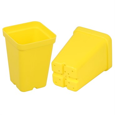 Sunpack Square Pot - 2.5in - Yellow