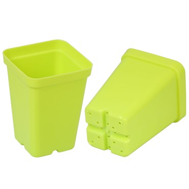 Sunpack Square Pot - 2.5in - Lime Green