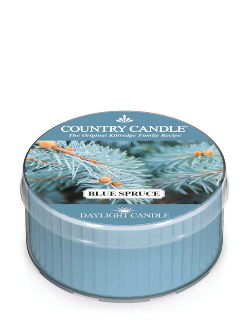 Country Candle by Kringle, Blue Spruce, Single Daylight