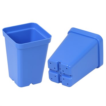 Sunpack Square Pot - 2.5in - Blue