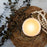 22 oz Butter Jar Candle: Roasted Chestnuts