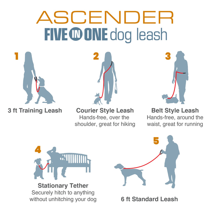 Kurgo Ascender Dog Leash, Adjustable 48"-78"