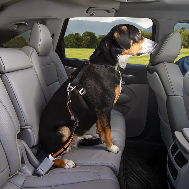 Kurgo Direct to Seatbelt Swivel Tether for Dogs - Black/Orange