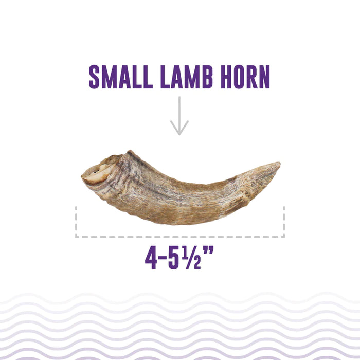 Icelandic Small Lamb Horn with Marrow Dog Chews - 4-5 1/2"