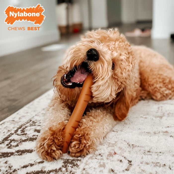 Nylabone Power Chew Baguette Dog Toy, Large/Giant
