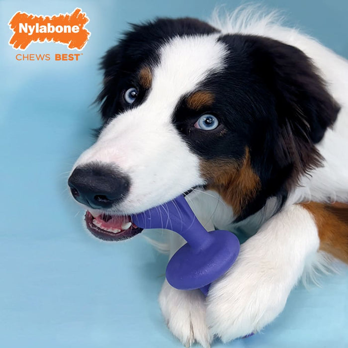Nylabone Power Chew Rolling Chase N Chew Toy, Large/Giant