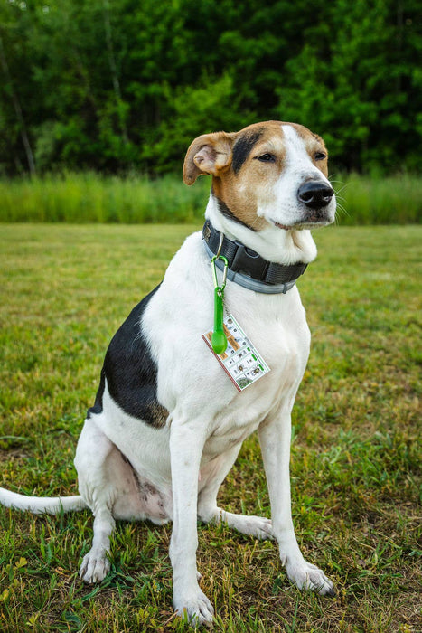 TickCheck Tick Remover Spoon 3 Pack- 12pc Hang Strip Display