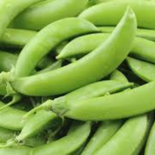 Organic Peas Plant, Super Sugar Snap - 4 pack