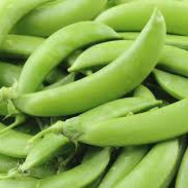 Organic Peas Plant, Super Sugar Snap - 4 pack