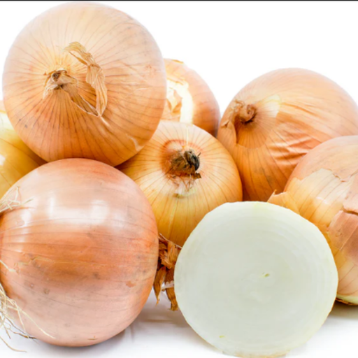 Organic Onion Plant, Candy - 4 pack