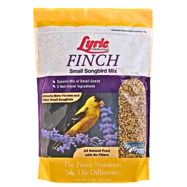 Lyric Finch Bird Food
