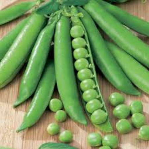 Organic Peas Plant, English Shelling - 4 pack