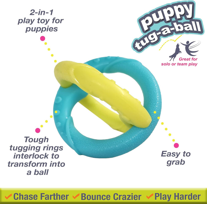 Nylabone Power Play Puppy Tug-a-Ball Dog Toy