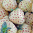 Fragaria 'Wonderful Pineberry’  - Wonderful Pineberry Strawberry