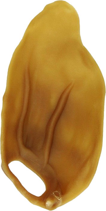 Wellness Whimzee Natural Daily Dental Long Lasting Dog Treats, Veggie Ear, Medium/Large, Single