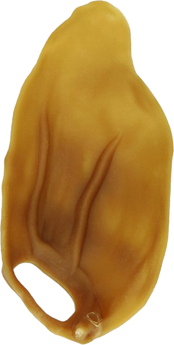 Wellness Whimzee Natural Daily Dental Long Lasting Dog Treats, Veggie Ear, Medium/Large, Single