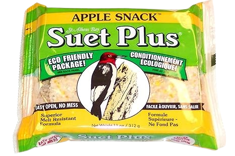 Suet Plus Apple Snack Suet Cake, 11oz