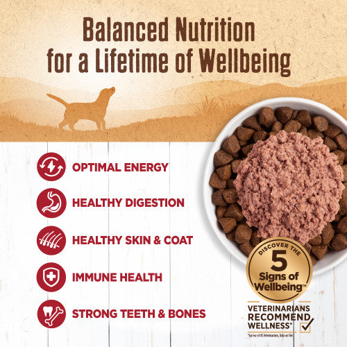 Wellness Natural Grain Free 95% Beef Recipe Adult Wet Canned Dog Food