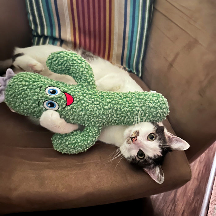 KONG Kickeroo Cactus Cat Toy