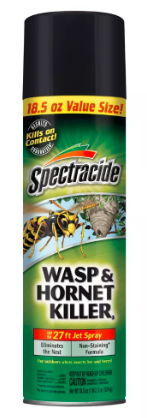 Spectracide Wasp and Hornet Killer, 18.5oz Aerosol