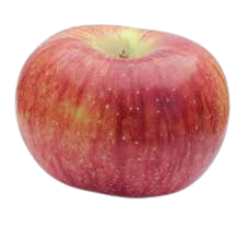 Apple, Cortland, 7 gal (5-7 ft)