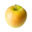 Apple, Crispin (Golden Delicious), 7 gal (5-7 ft)