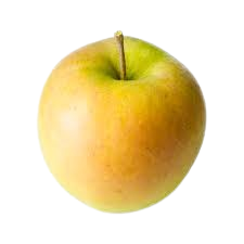 Apple, Crispin (Golden Delicious), 7 gal (5-7 ft)