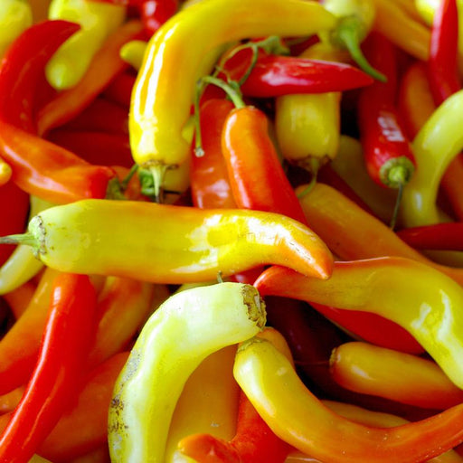 Pepper, Sweet Banana Pepper