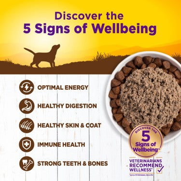 Wellness Complete Health Natural Duck and Sweet Potato Recipe Wet Canned Dog Food