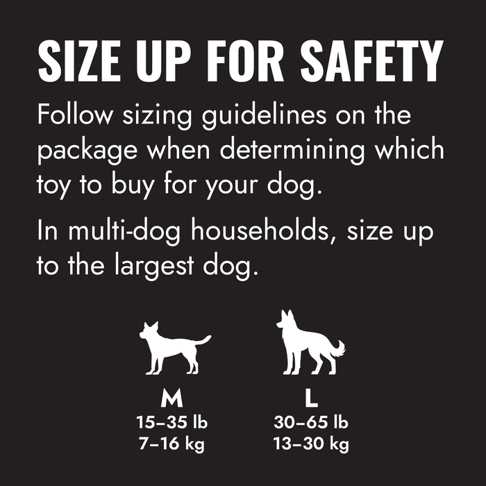 KONG Extreme Goodie Ribbon, Large Dog Toy