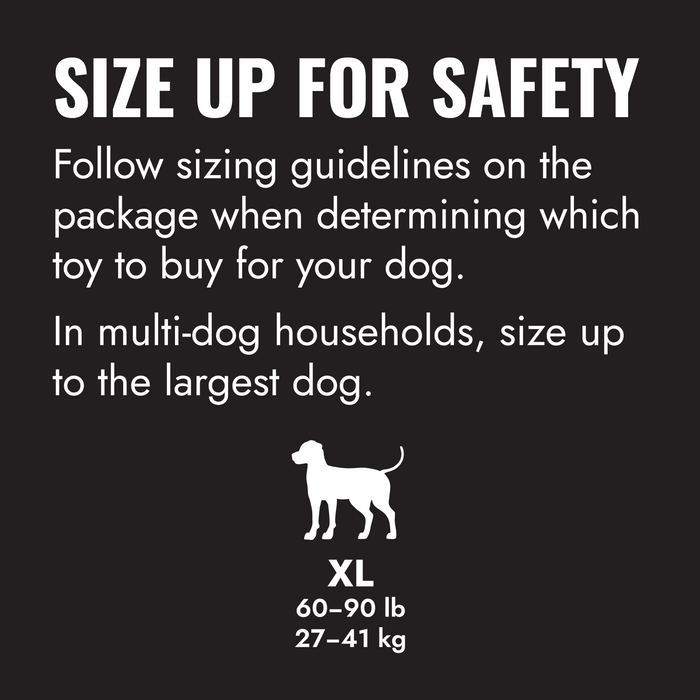 The KONG Ring Dog Toy, Extra Large