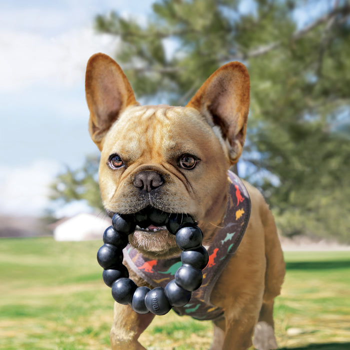 The KONG Ring Dog Toy, Extra Large