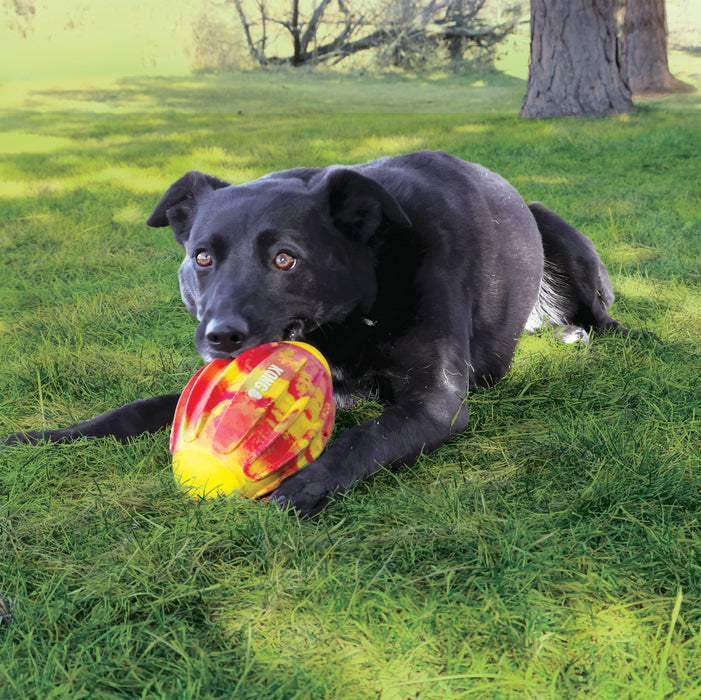 KONG FlexBall Football, Medium Dog Toy