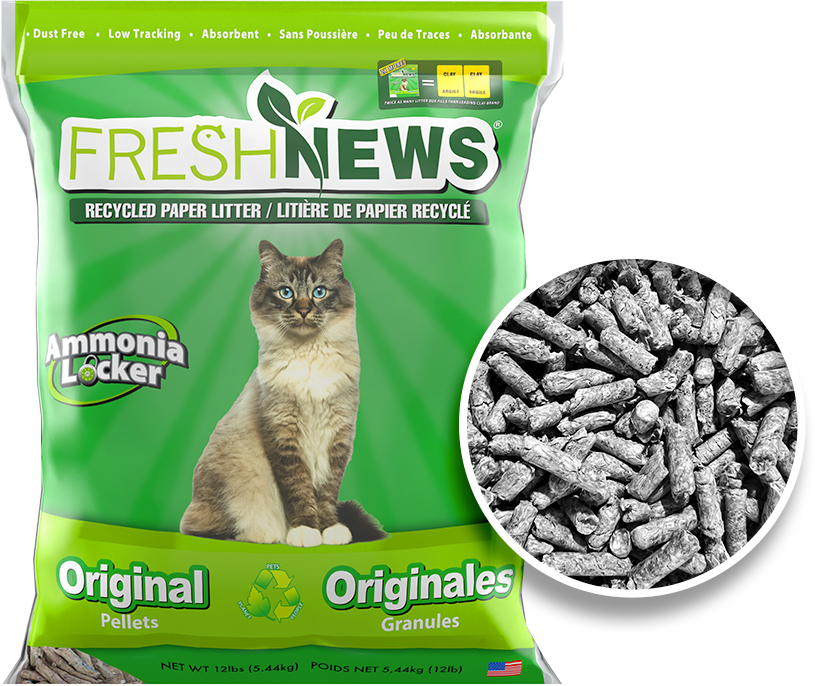 Paper litter cat hot sale