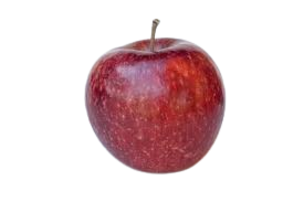 Apple, Frostbite, 7 gal (5-7 ft)