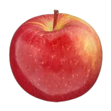 Apple, Fuji, 7 gal (5-7 ft)