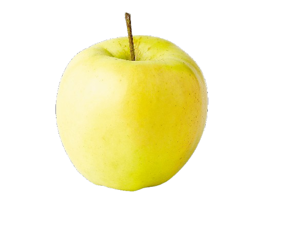 Apple, Ginger Gold, 7 gal (5-7 ft)