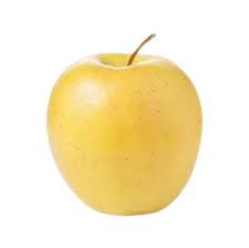 Apple, Goldrush, 7 gal (5-7 ft)