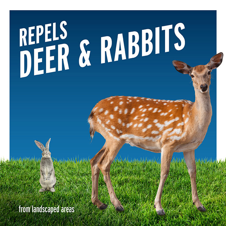 Liquid Fence Deer & Rabbit Repellent Ready to Use Spray — Mackey's
