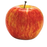 Apple, Honeycrisp, 7 gal. (5-7 ft)