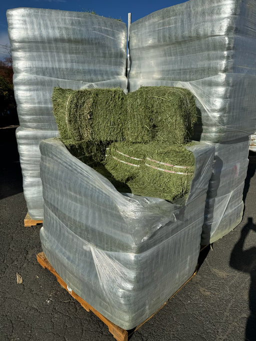 NEW! Alfalfa Hay Bale, 40 lbs